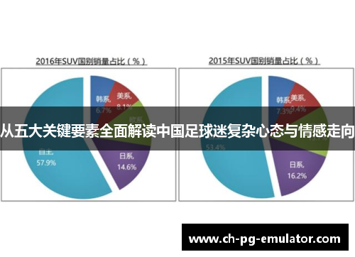 从五大关键要素全面解读中国足球迷复杂心态与情感走向