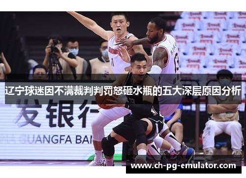 辽宁球迷因不满裁判判罚怒砸水瓶的五大深层原因分析