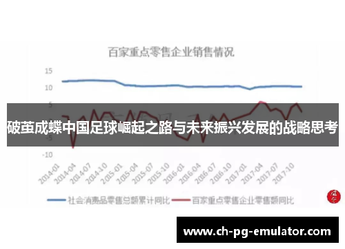 破茧成蝶中国足球崛起之路与未来振兴发展的战略思考